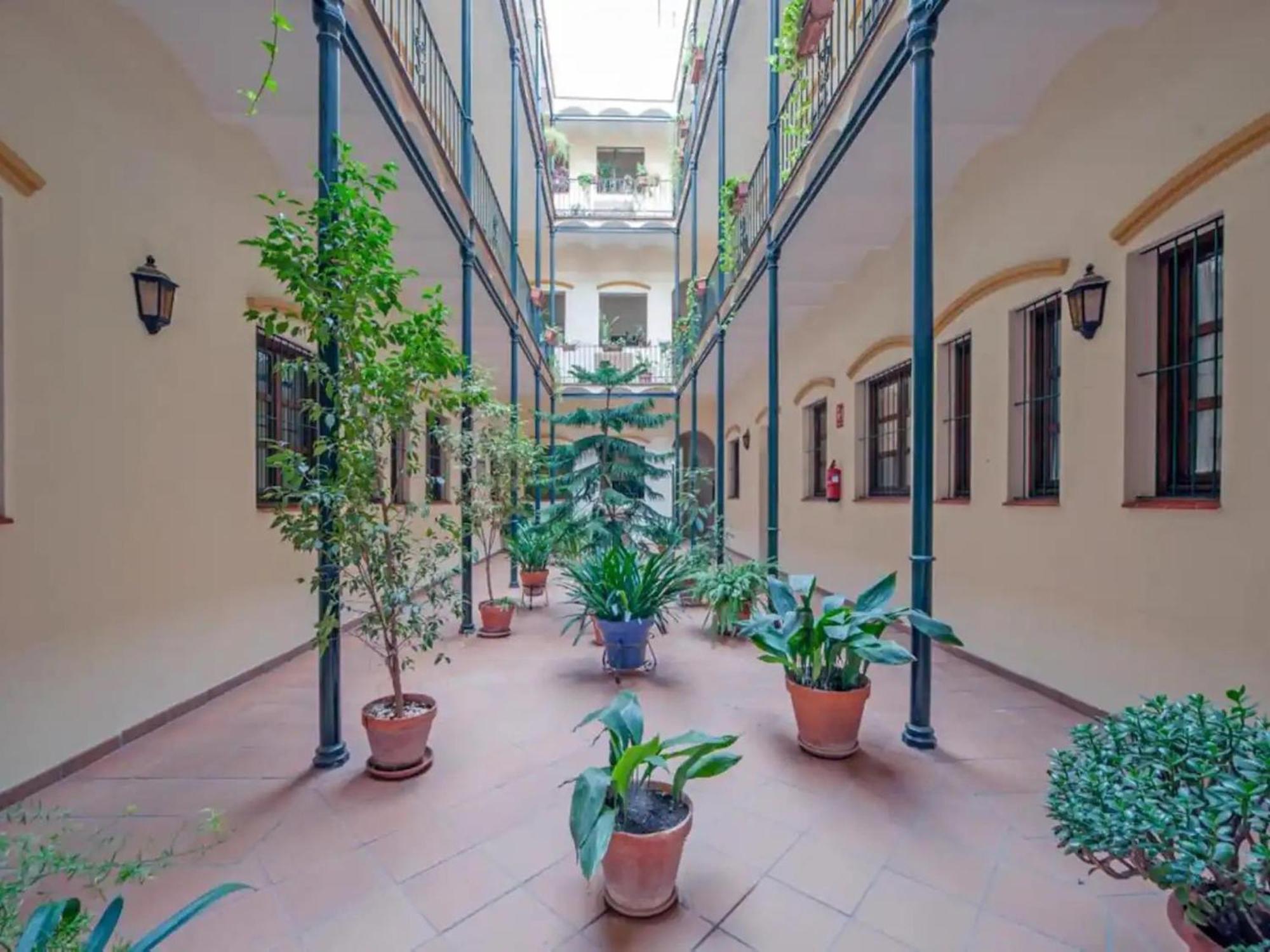 Monkeys Castilla Triana Appartement *